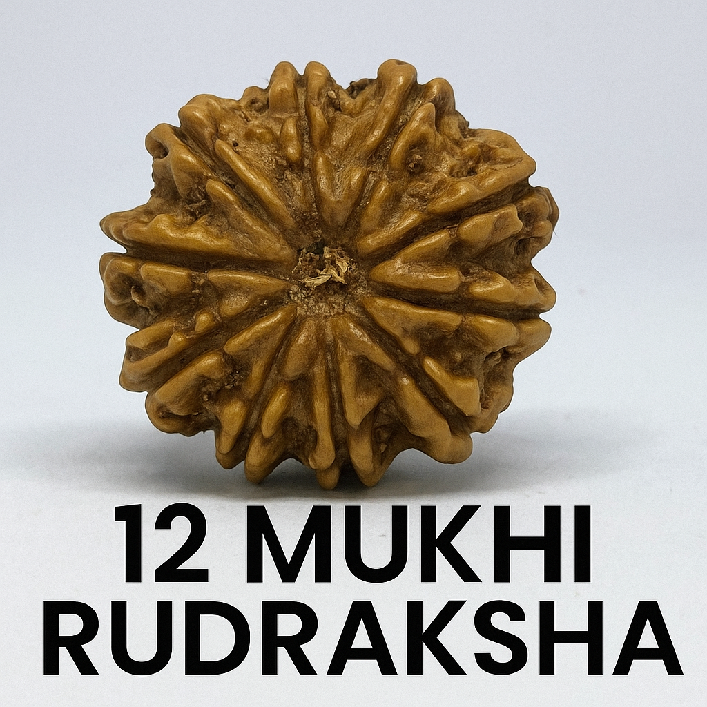 12 mukhi