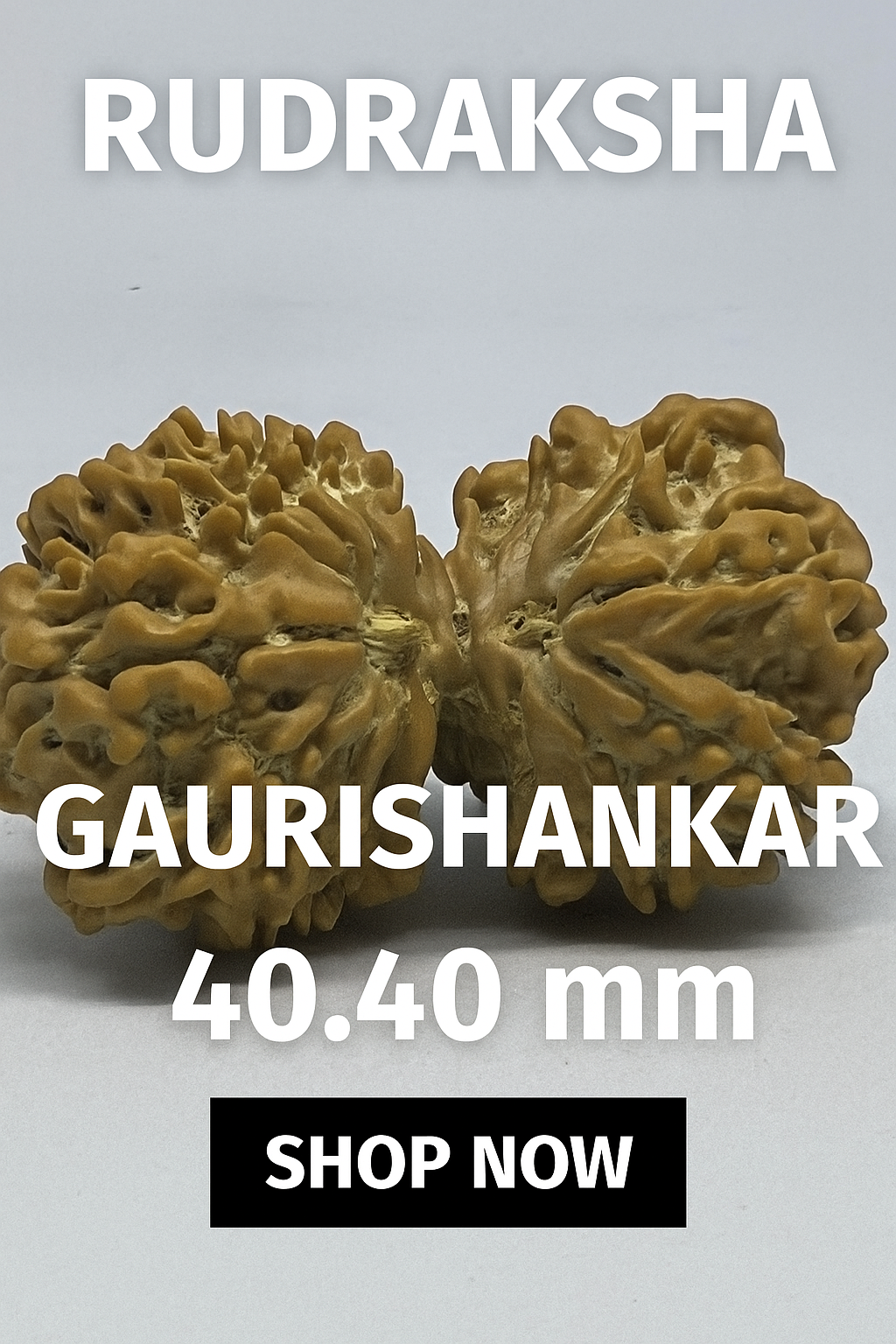 Gaurishankar 40.40mm